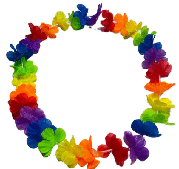 Captura de pantalla 2025-05-19 193609 Collar Hawaiano x12 Unidades