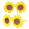 Captura de pantalla 2025-05-20 225604 Gafas Girasol