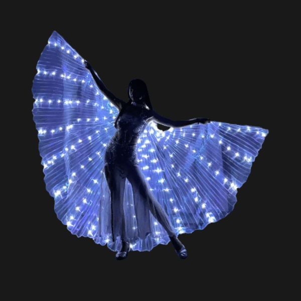 LED CATALOGO (1) Alas Led (Pilas incluidas)