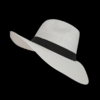 Sombreros Aguadeños