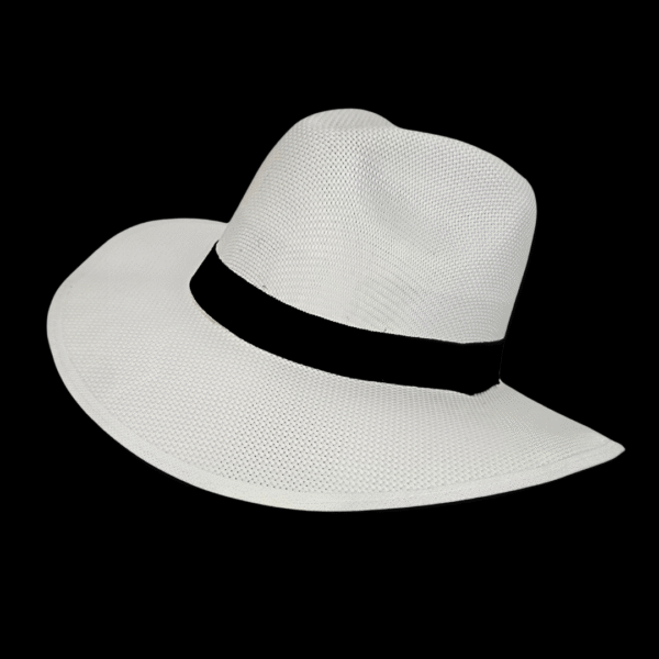 Sombreros Aguadeños
